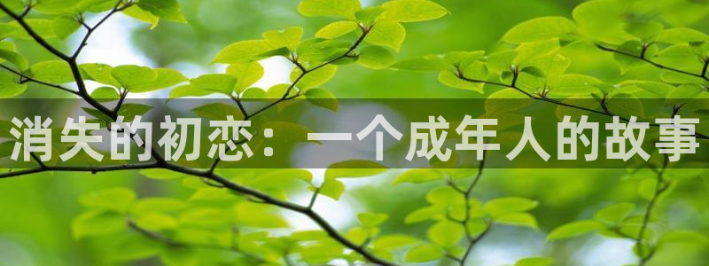 喵上二次元漫画：消失的初恋：一个成年人的故事