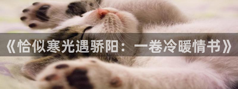 猫趣漫画免费：《恰似寒光遇骄阳：一卷冷暖情书》