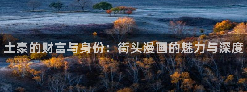 萌漫画：土豪的财富与身份：街头漫画的魅力与深度