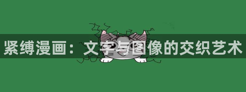 喵漫画趣：紧缚漫画：文字与图像的交织艺术