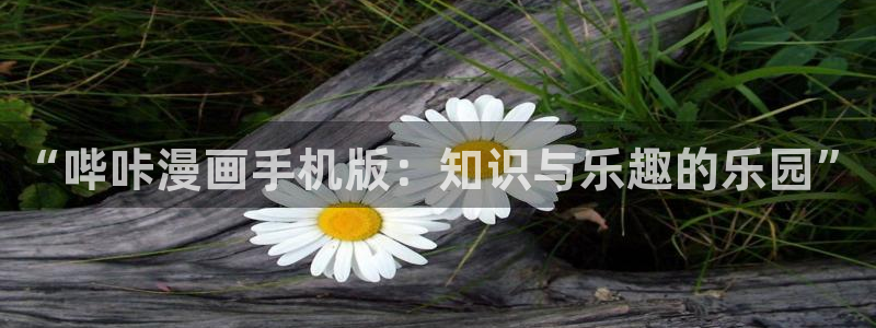 喵萌漫画：“哔咔漫画手机版：知识与乐趣的乐园”
