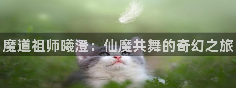 喵趣漫画正版下：魔道祖师曦澄：仙魔共舞的奇幻之旅